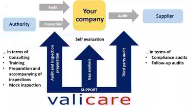 services-gmp-audit-inspections-audit-en