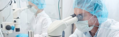 GMP für kleine Unternehmen