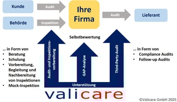 Grafik_Audit_d Kopie