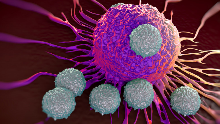 CAR-T-Zelle greift eine Tumorzelle an